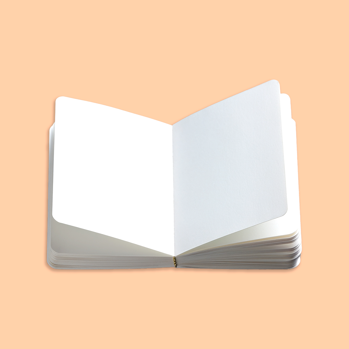 1 dodatkowy szkicownik (60 stron)