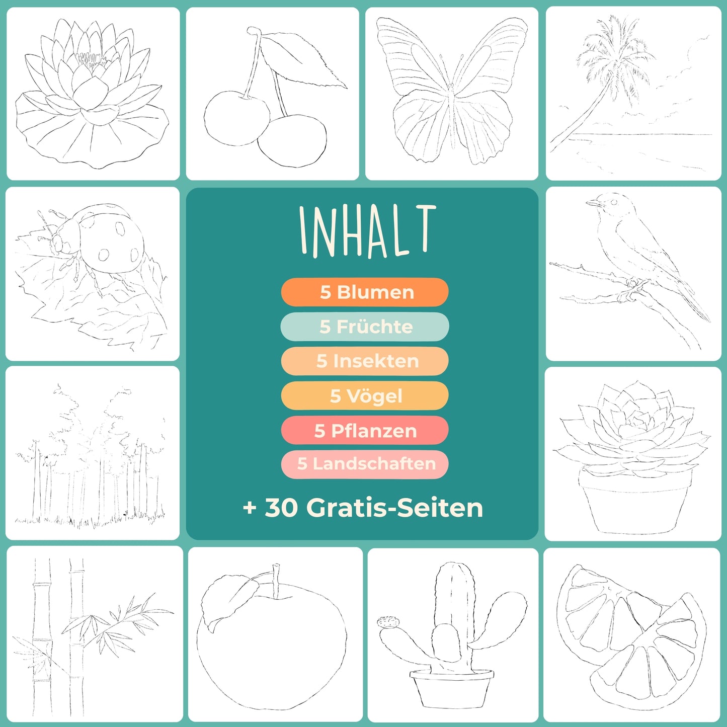 Tobio's™ Anfänger-Übungsbuch